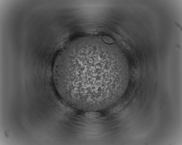 X0000091340707200708241223