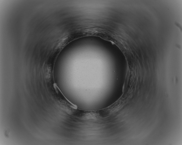 X0000091340708200708241223