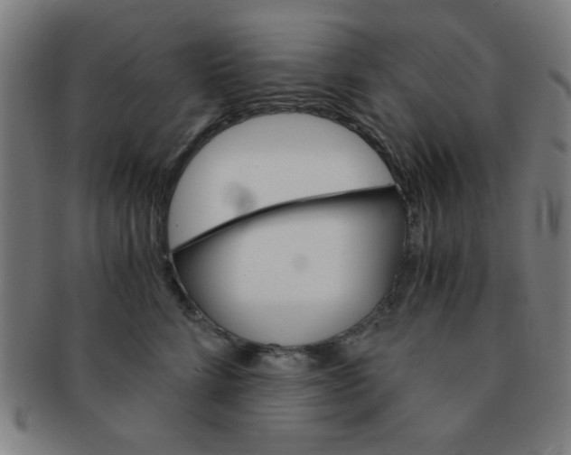 X0000091340712200708241223