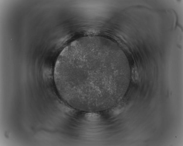 X0000091340714200708241223