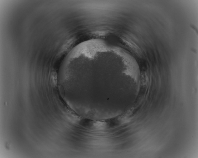 X0000091340718200708241223