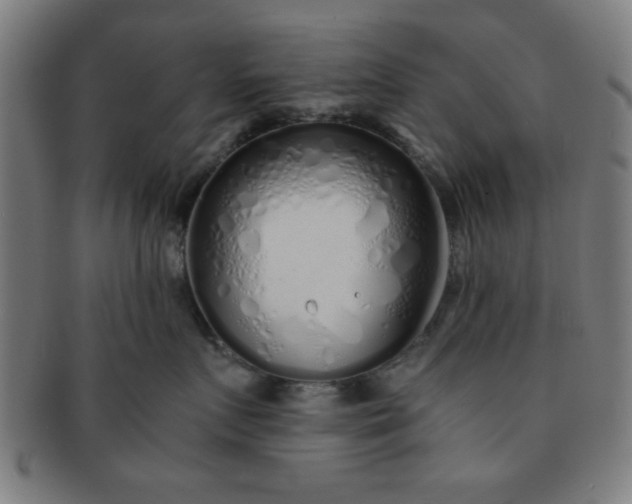 X0000091340719200708241223