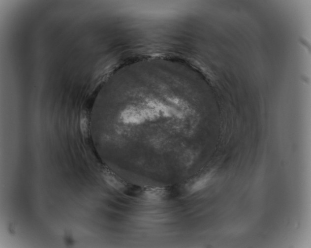 X0000091340720200708241223