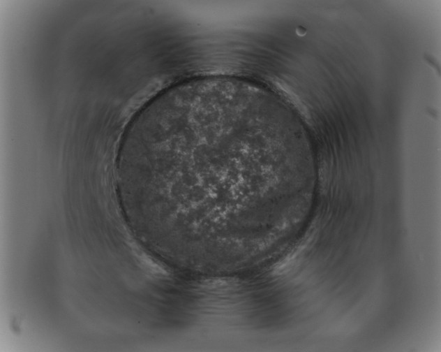 X0000091340721200708241222