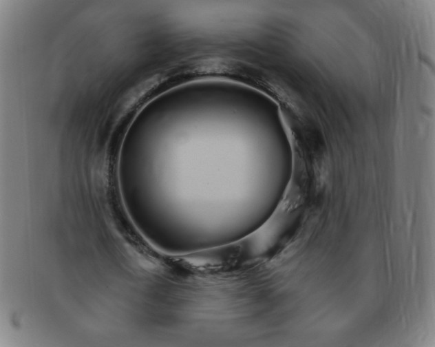 X0000091340722200708241222