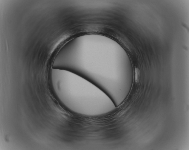 X0000091340723200708241222