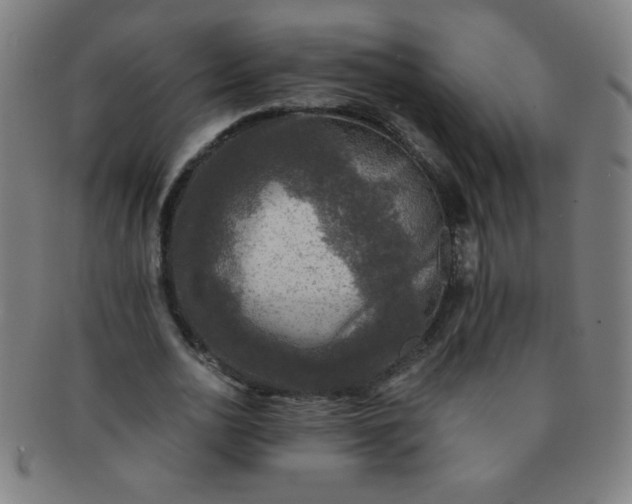 X0000091340726200708241222