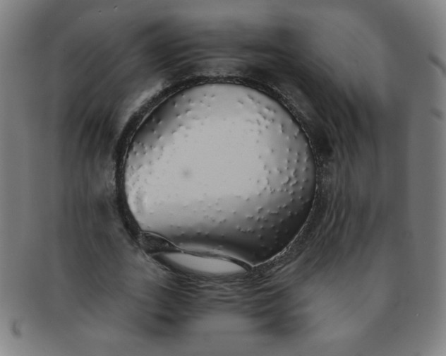 X0000091340727200708241222