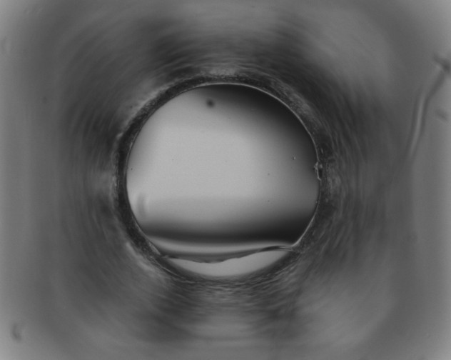 X0000091340728200708241222