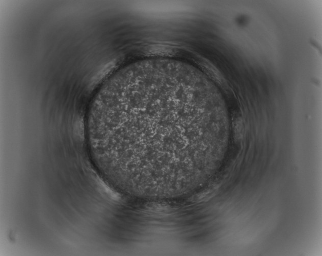 X0000091340729200708241222