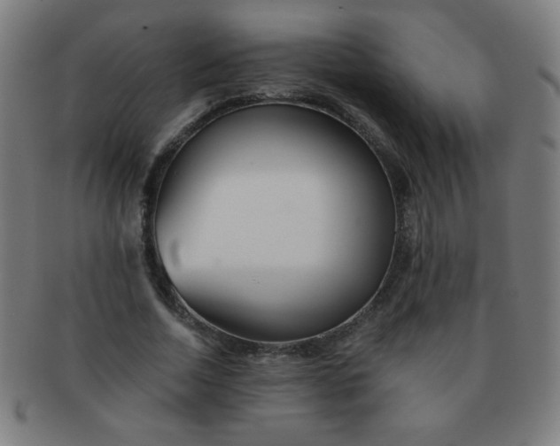 X0000091340730200708241222