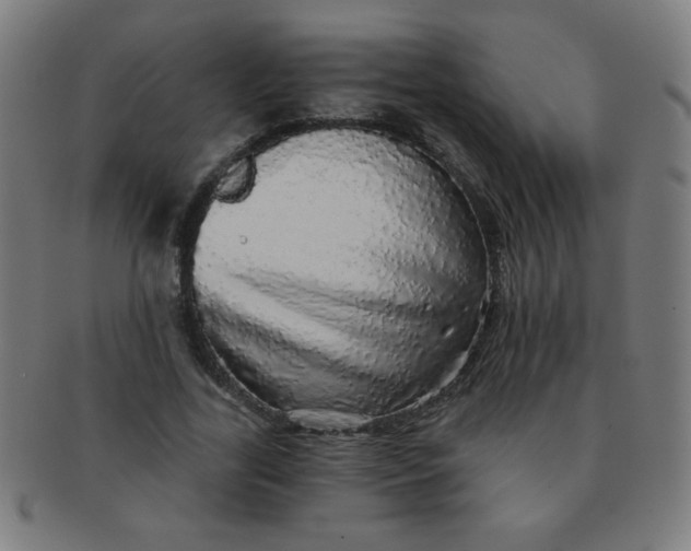 X0000091340731200708241222