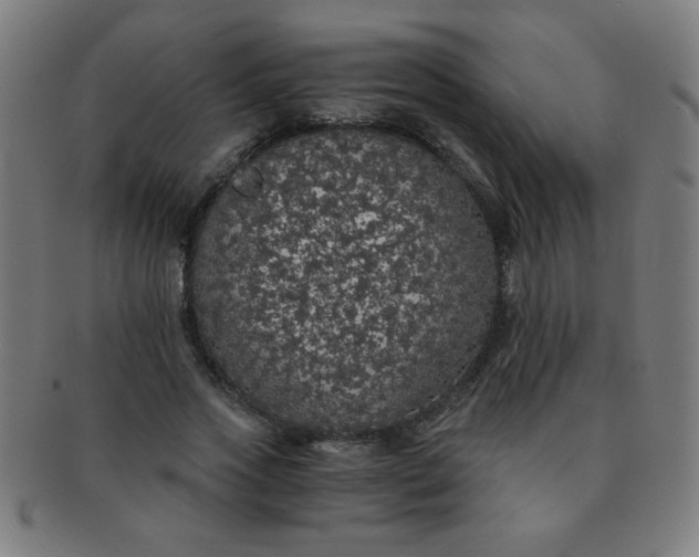 X0000091340733200708241222