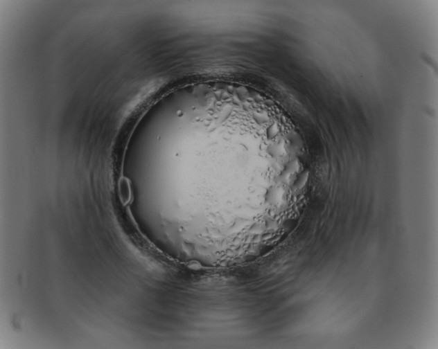 X0000091340734200708241222