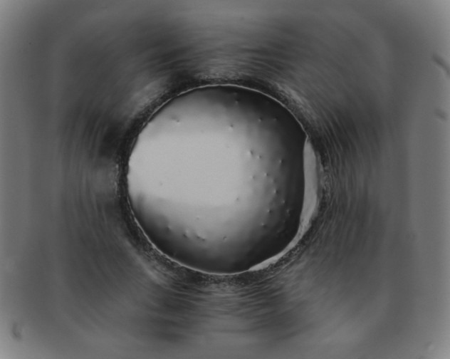 X0000091340735200708241222