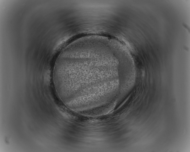 X0000091340736200708241222