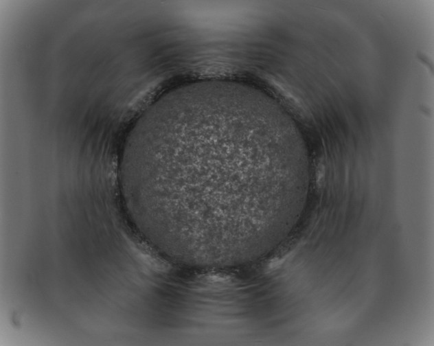 X0000091340737200708241222