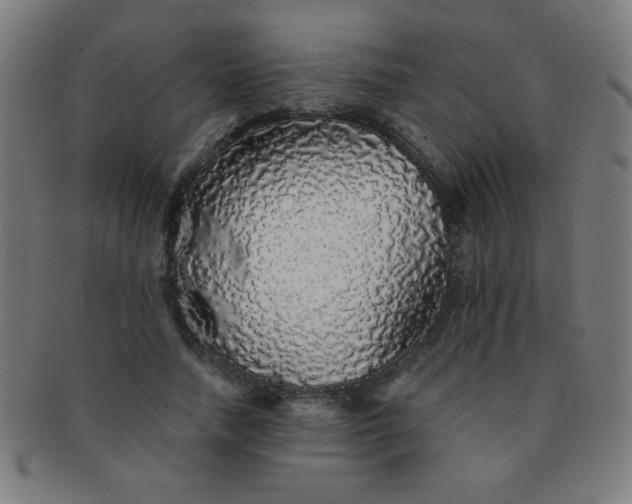 X0000091340738200708241222