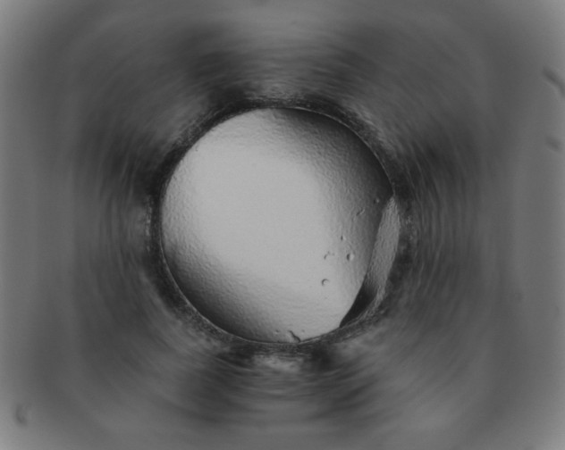 X0000091340739200708241222