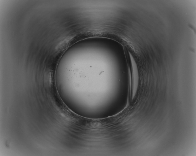 X0000091340740200708241222