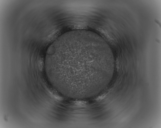 X0000091340741200708241222