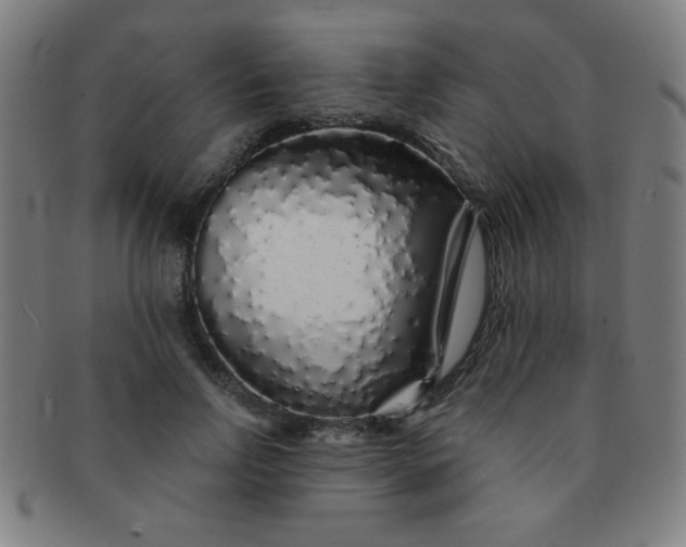 X0000091340742200708241222