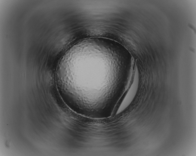 X0000091340743200708241222