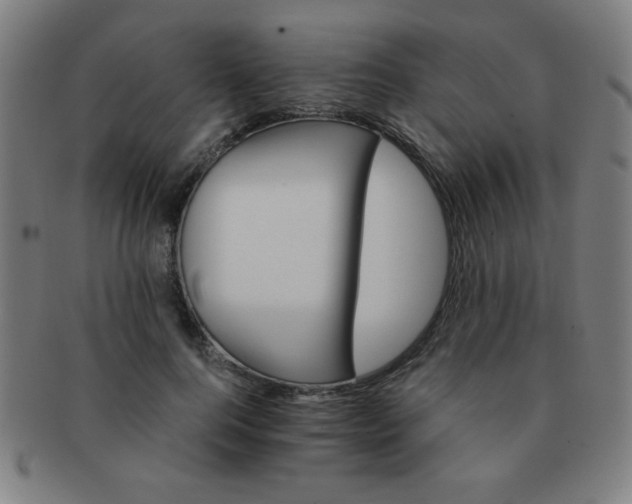 X0000091340744200708241222