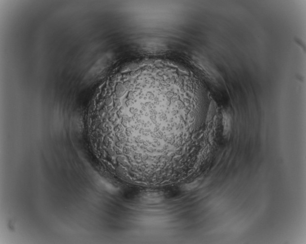 X0000091340746200708241222