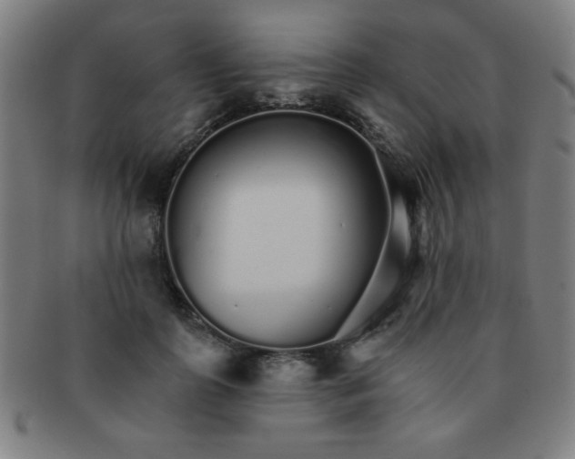 X0000091340747200708241222