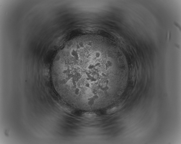 X0000091340749200708241222