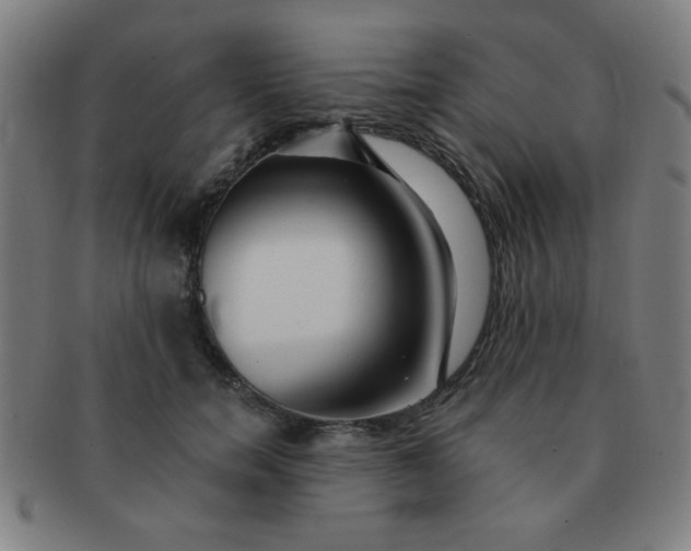 X0000091340750200708241222