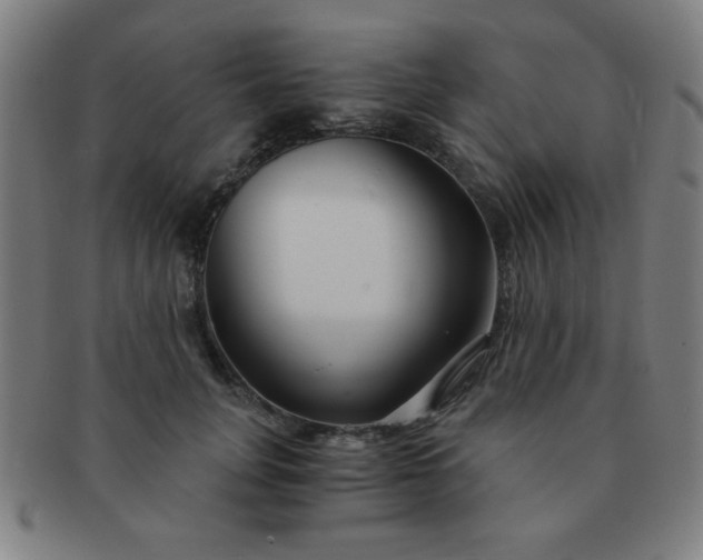 X0000091340751200708241222