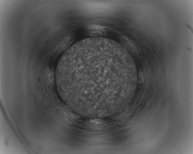 X0000091340753200708241223