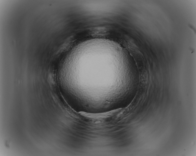 X0000091340755200708241223