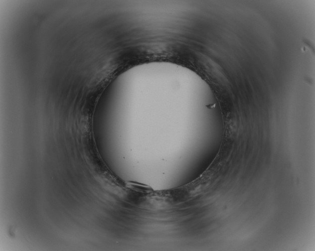 X0000091340756200708241223