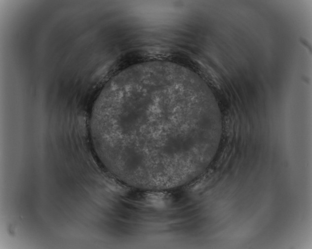 X0000091340757200708241223