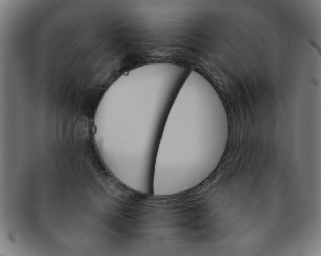 X0000091340758200708241223