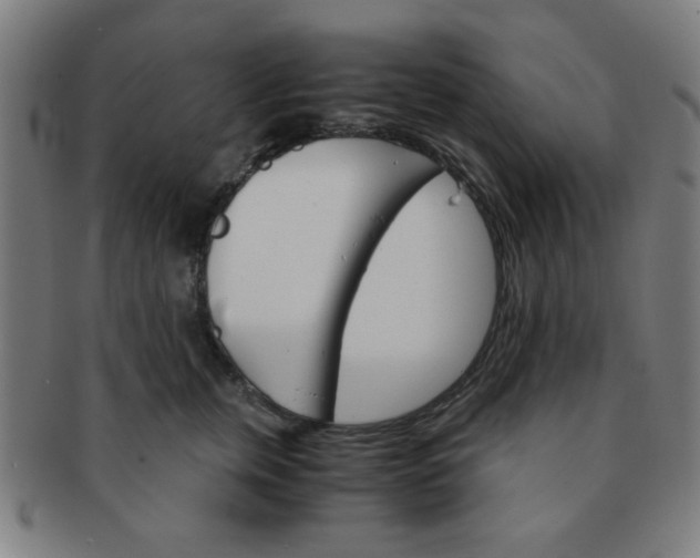 X0000091340759200708241223