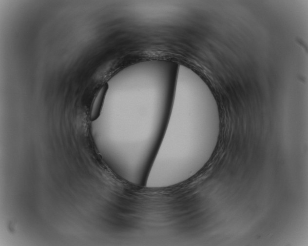 X0000091340762200708241223