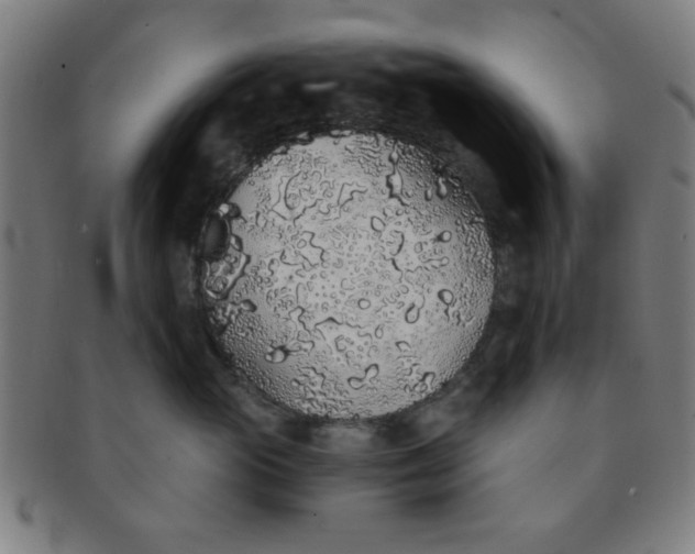 X0000091340765200708241223