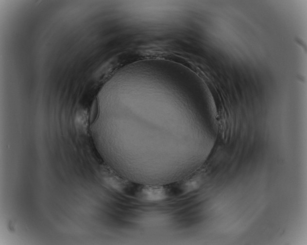 X0000091340767200708241223