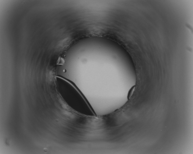 X0000091340768200708241223