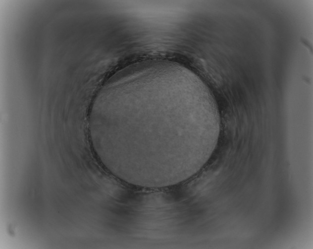 X0000091340769200708241222