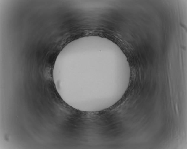 X0000091340770200708241222