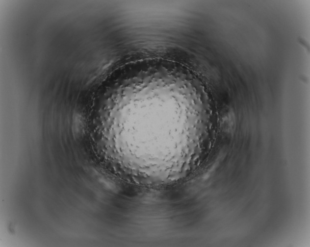 X0000091340772200708241222