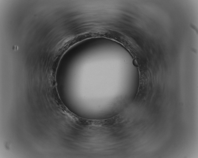 X0000091340773200708241222