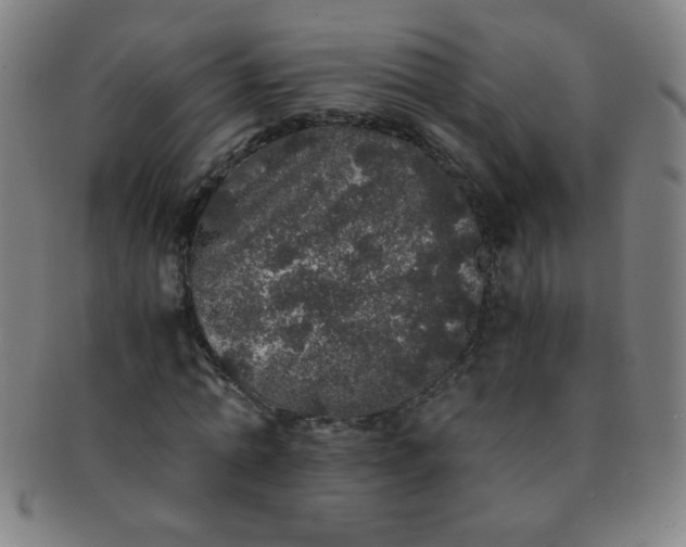 X0000091340774200708241222