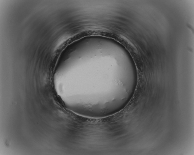 X0000091340775200708241222