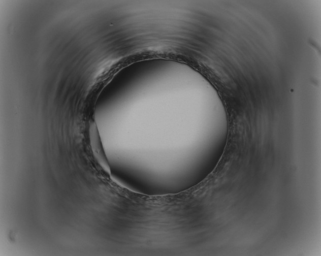 X0000091340776200708241222